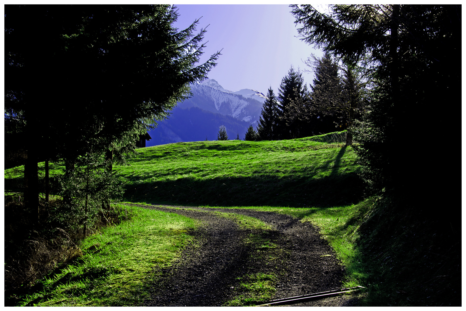 Morgenspaziergang im Montafon