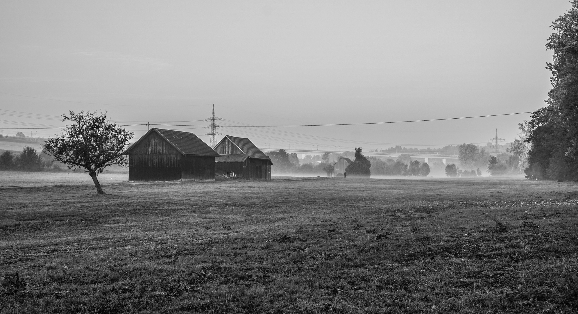 Morgenspaziergang im Nebel