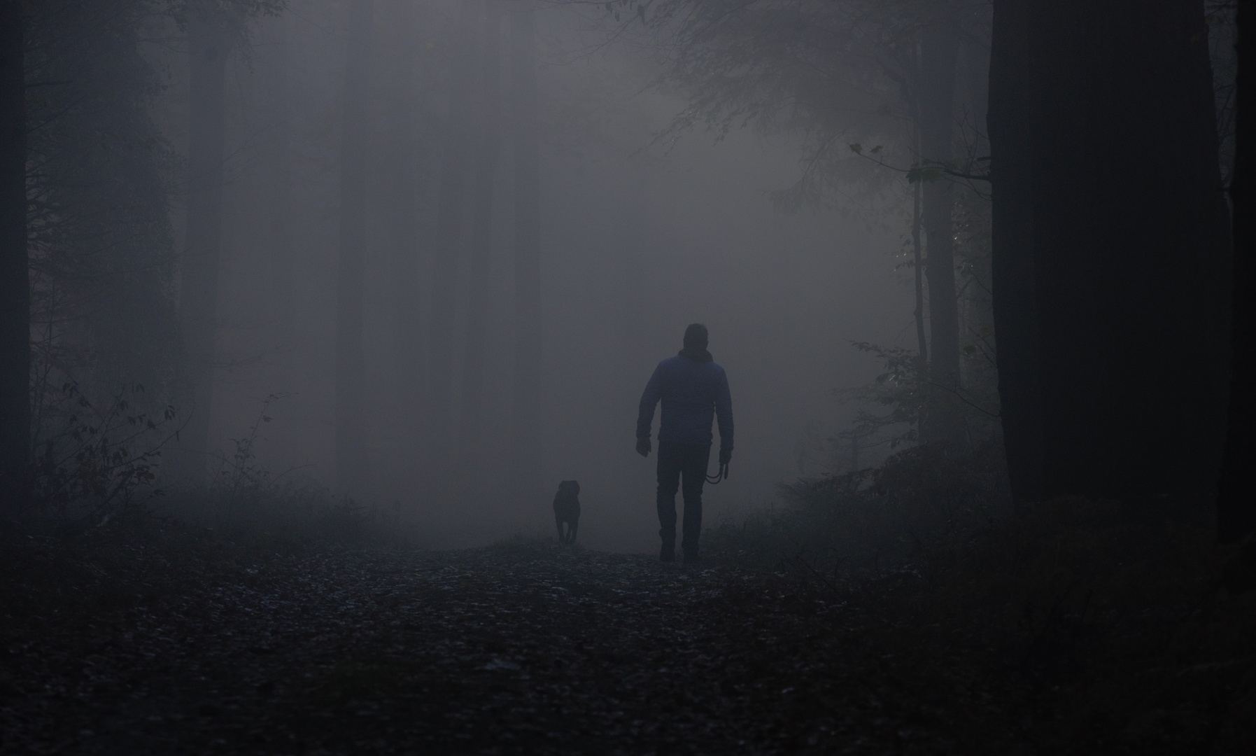 Morgenspaziergang im Nebel