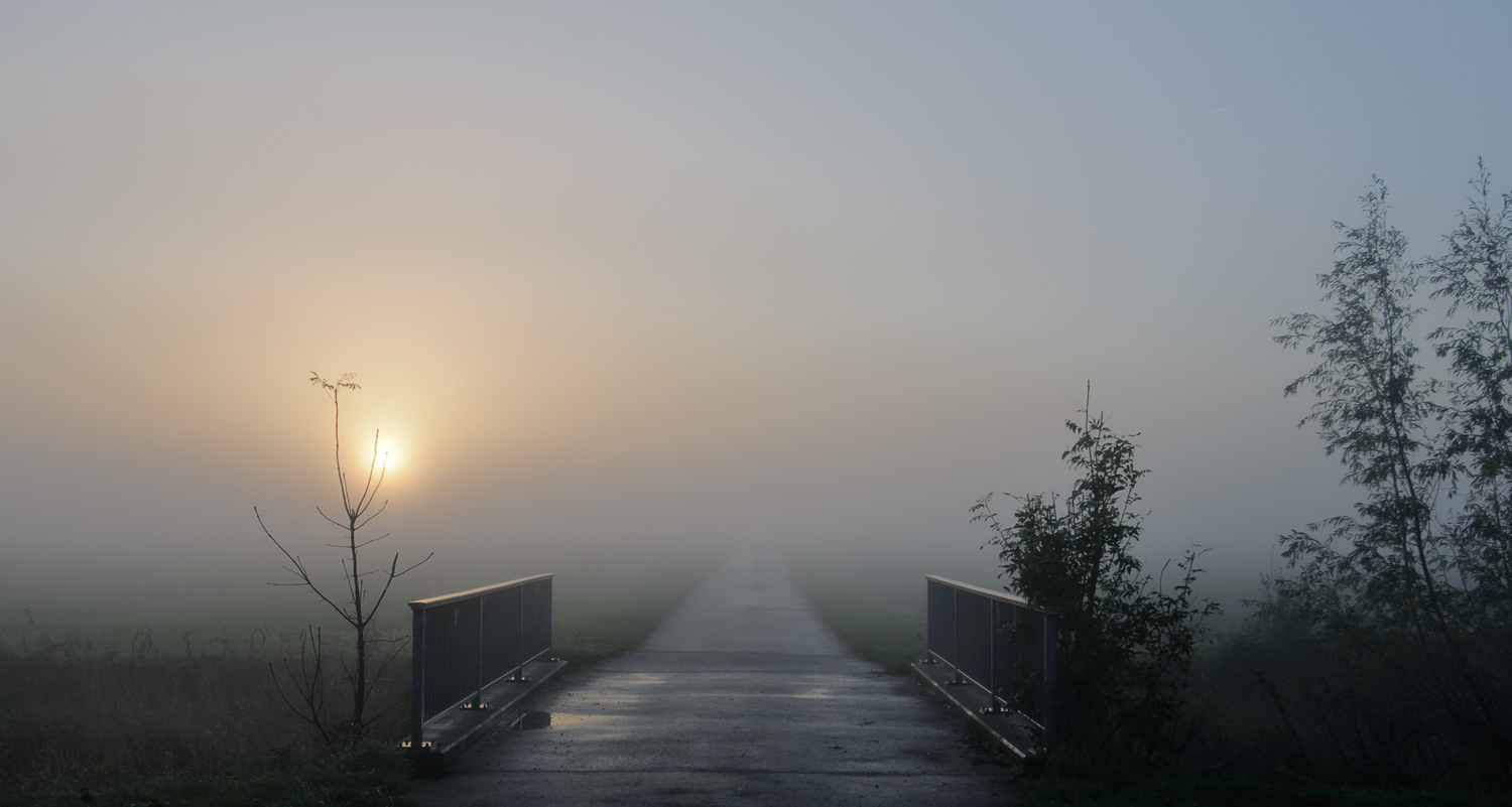 Morgenspaziergang im Nebel