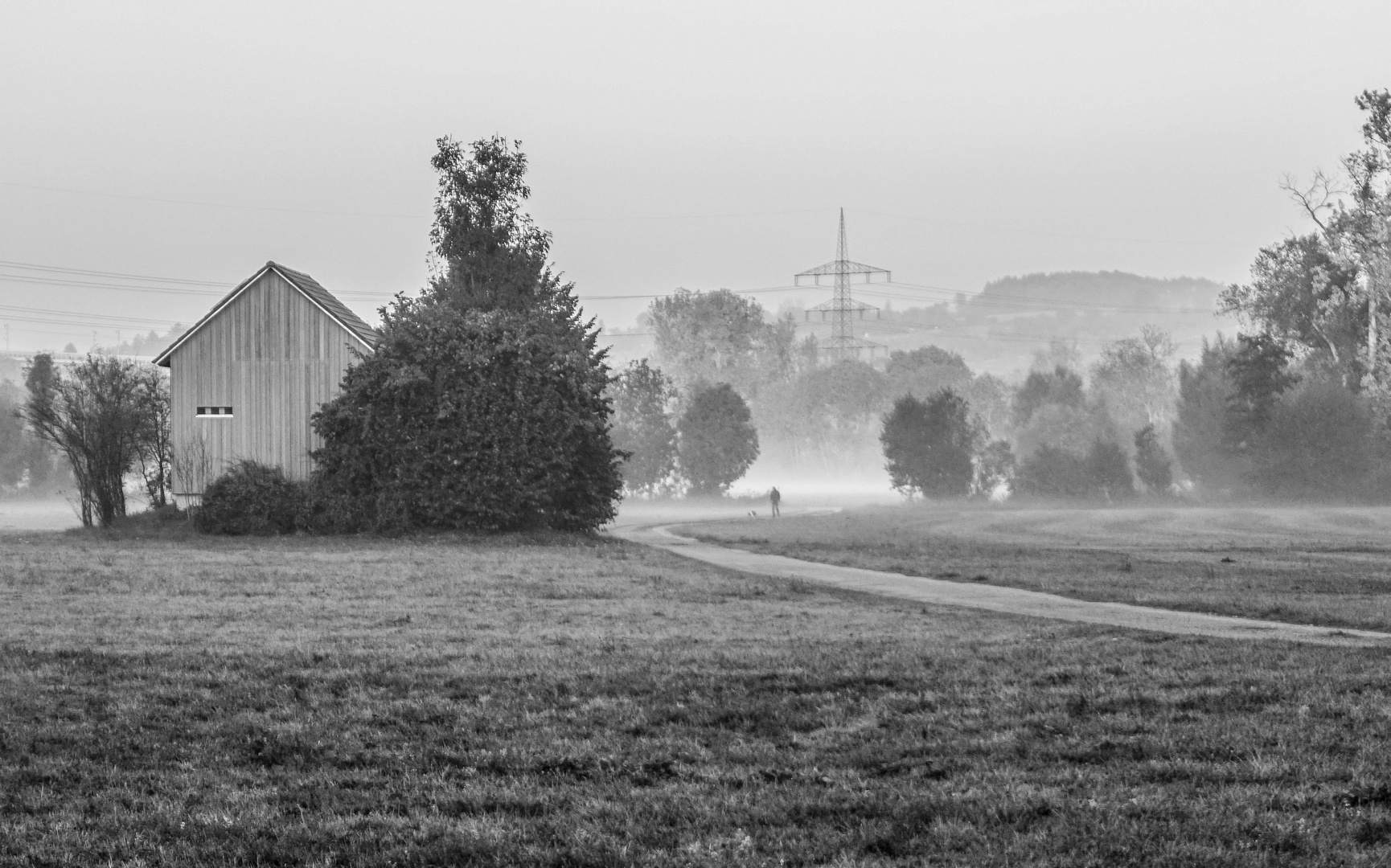 Morgenspaziergang im Nebel