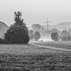 Morgenspaziergang im Nebel