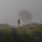 Morgenspaziergang im Nebel