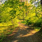 Morgenspaziergang im Schloßpark Genshagen