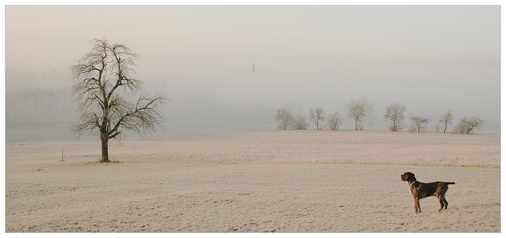 Morgenspaziergang im Winter