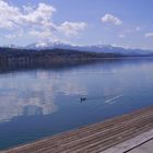 Morgenspaziergang im Wörthersee