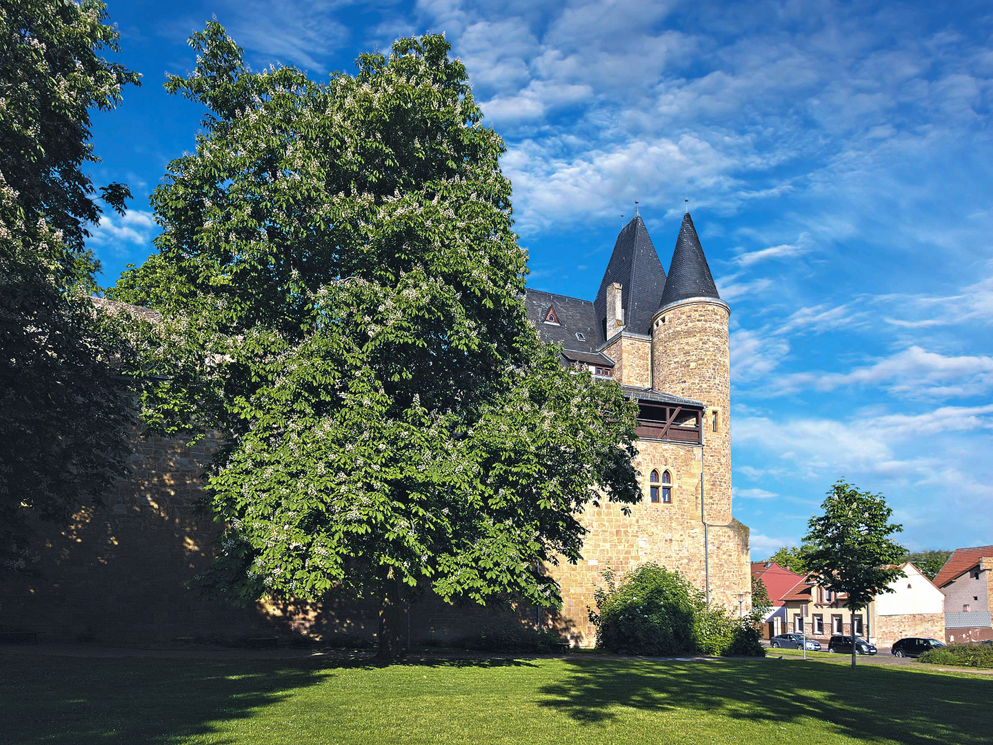 Morgenspaziergang im Wonnemonat Mai in Alzey