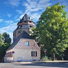 Morgenspaziergang im Wonnemonat Mai in Alzey