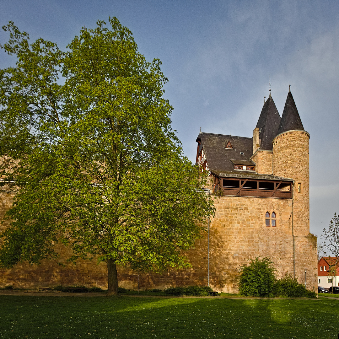 Morgenspaziergang in Alzey am Anfang des Frühlings