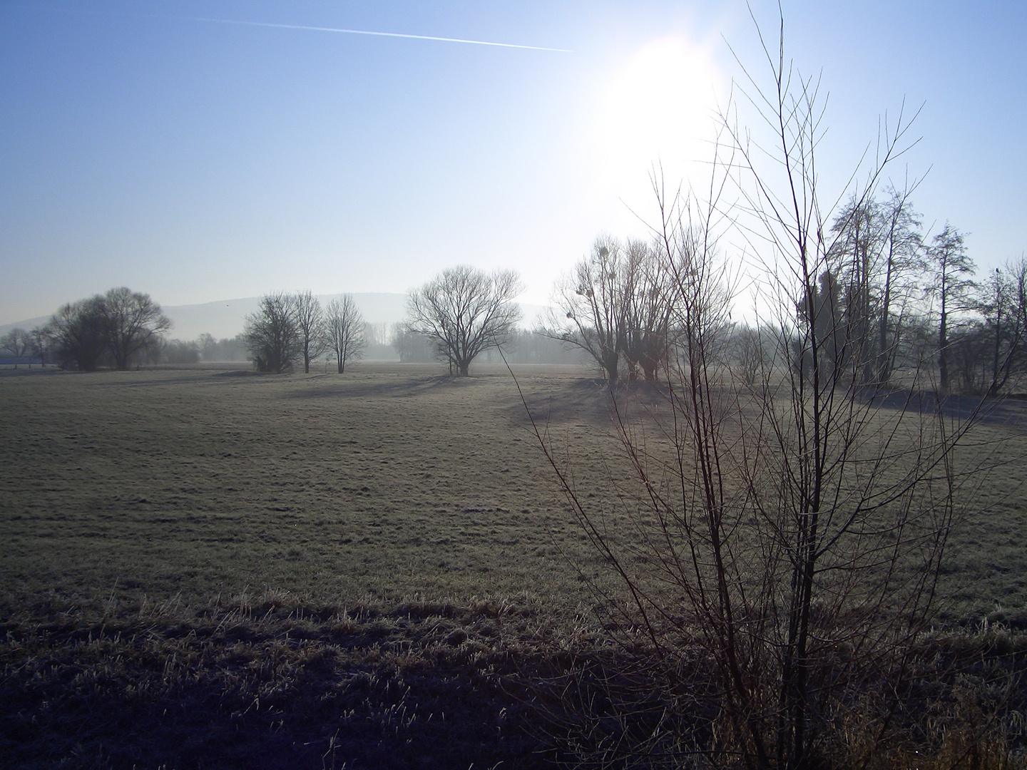 Morgenspaziergang in der Kälte