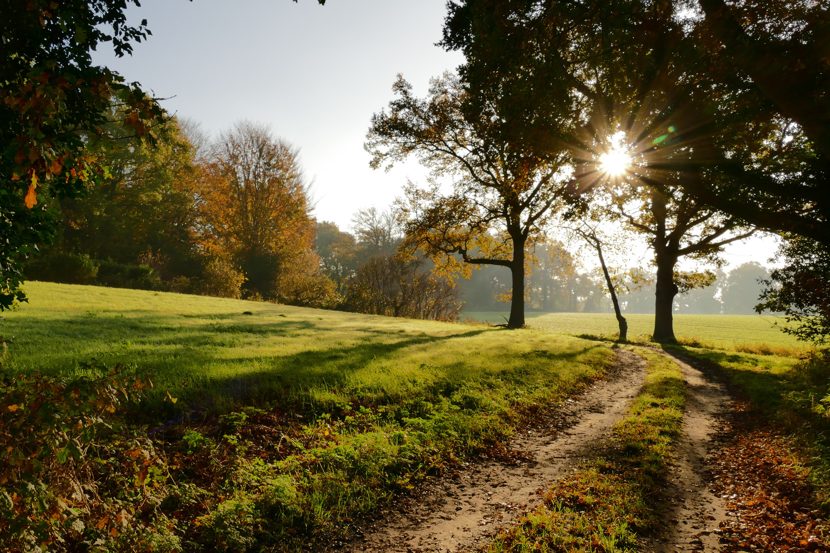 Morgenspaziergang in der Wildeshauser Geest