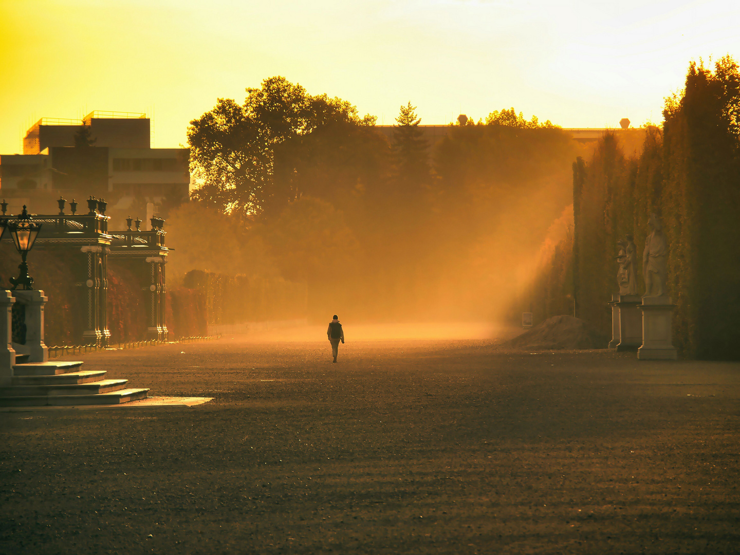 Morgenspaziergang in Licht und Nebel