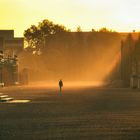 Morgenspaziergang in Licht und Nebel