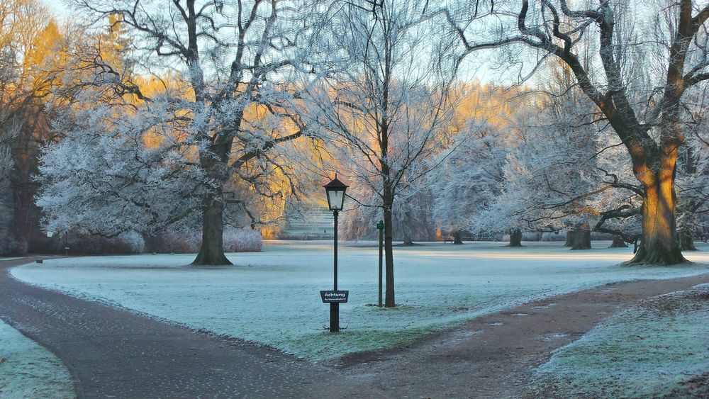 Morgenspaziergang -- kalt aber schön - Gräflicher Park Bad Driburg