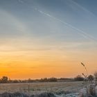 Morgenspaziergang mit dem neuen Spielzeug...