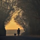 Morgenspaziergang mit Hund