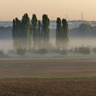 Morgenspaziergang mit Shannon 001