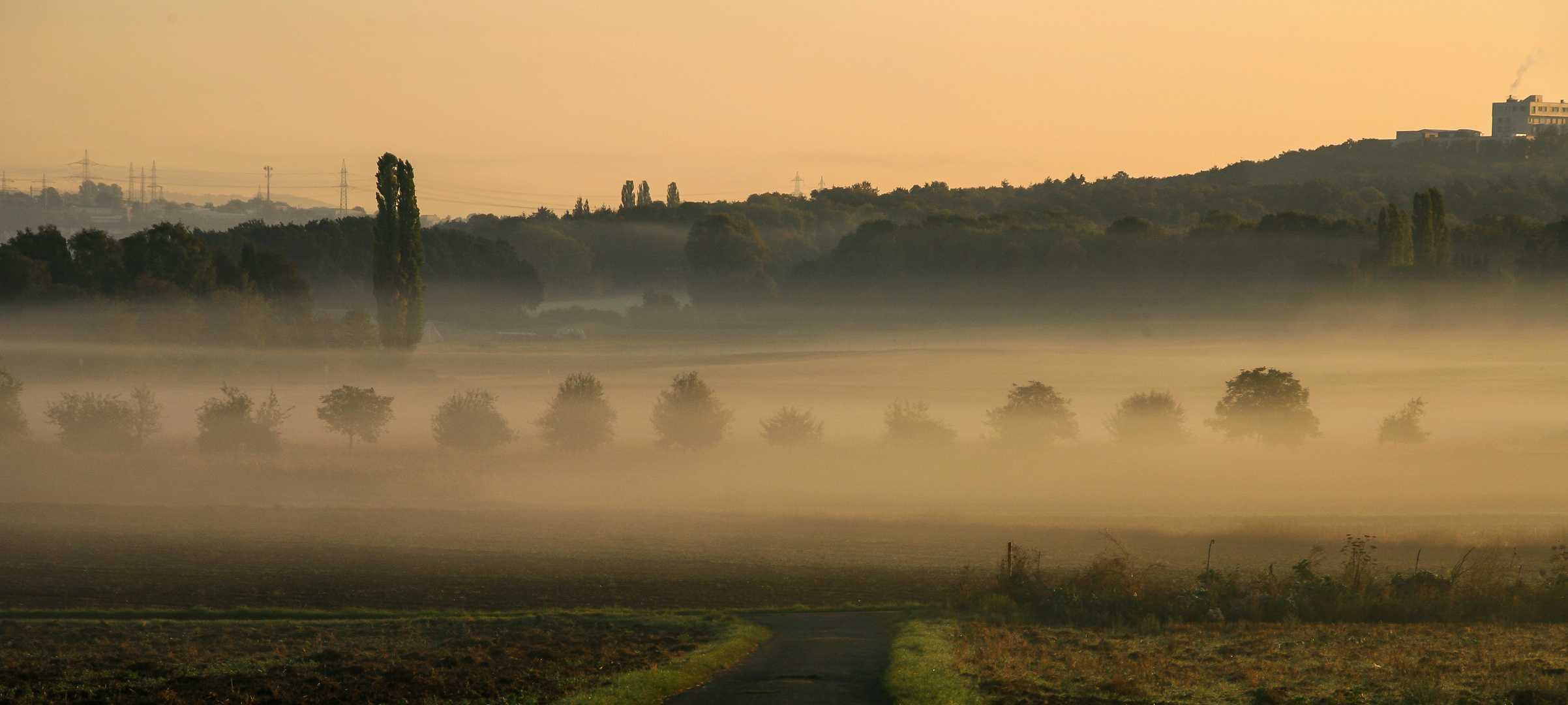 Morgenspaziergang mit unserer Shannon...016