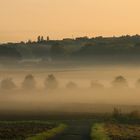 Morgenspaziergang mit unserer Shannon...016