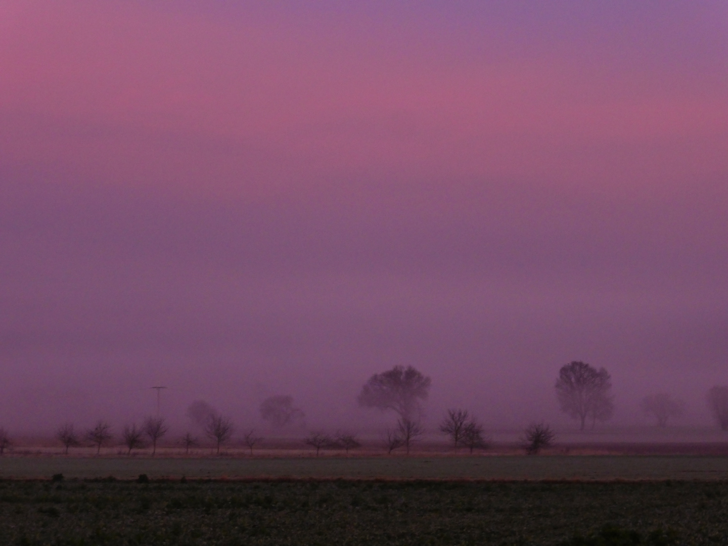 Morgenspaziergang mit unserer Shannon...02