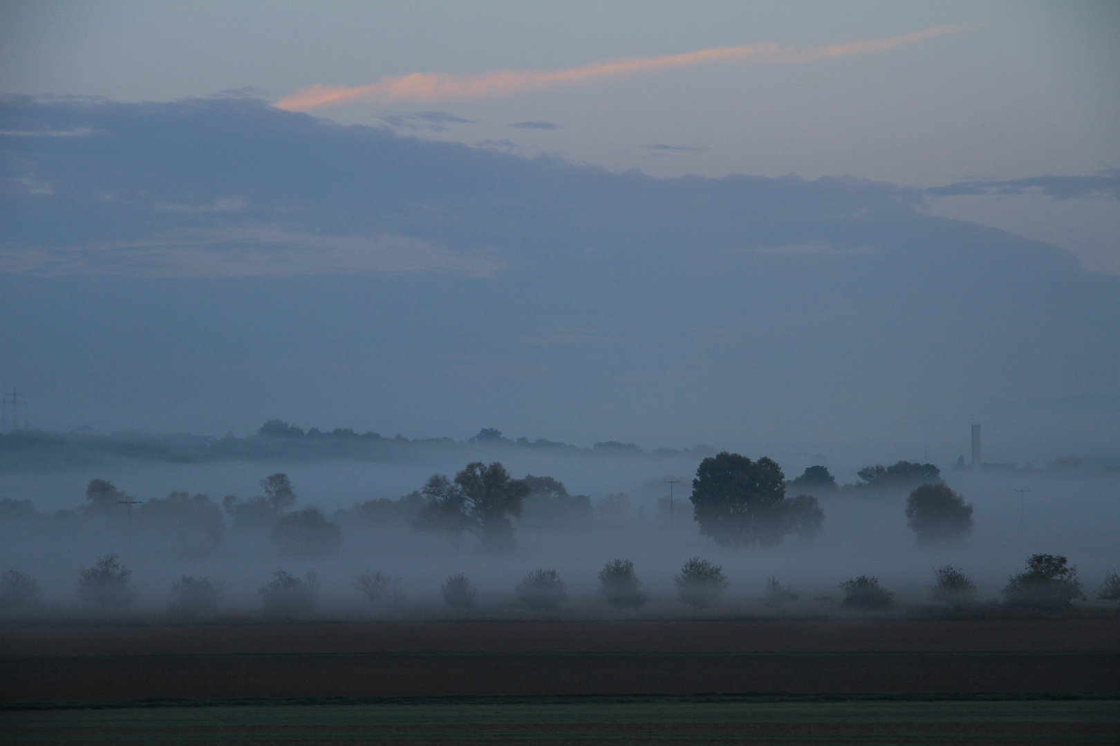 Morgenspaziergang mit unserer Shannon...020