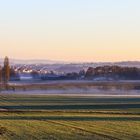 Morgenspaziergang mit unserer Shannon...024