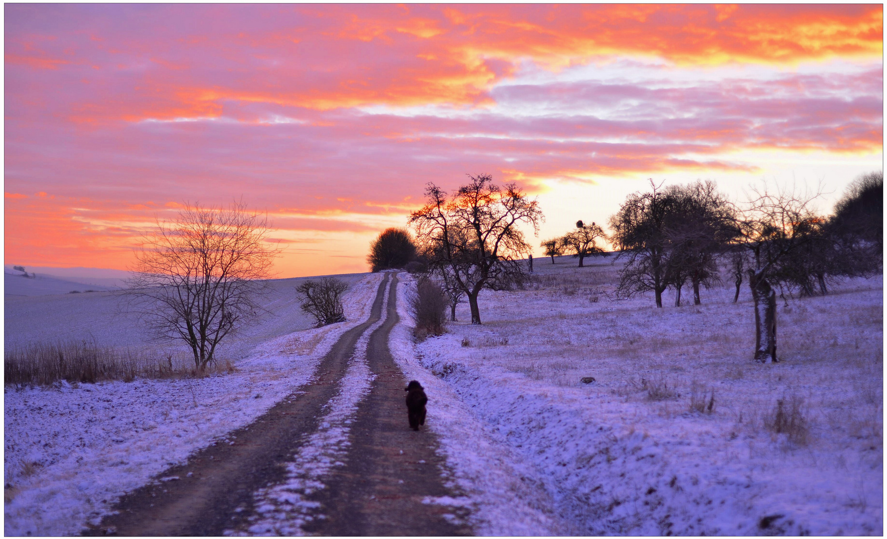 Morgenspaziergang mit Wicky-Emily (estoy dando un paseo con Wicky-Emily por la mañana)