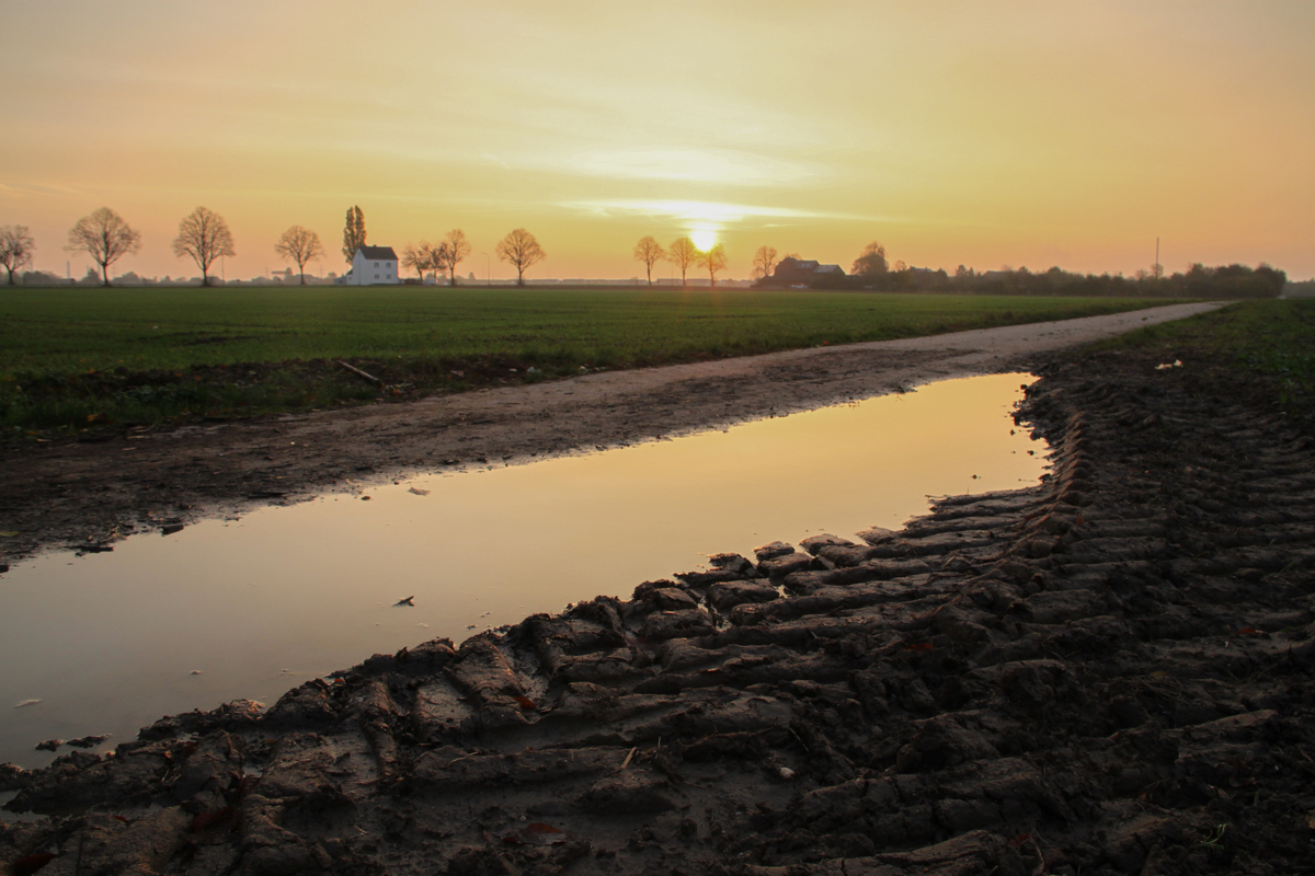 Morgenspaziergang ohne Hund