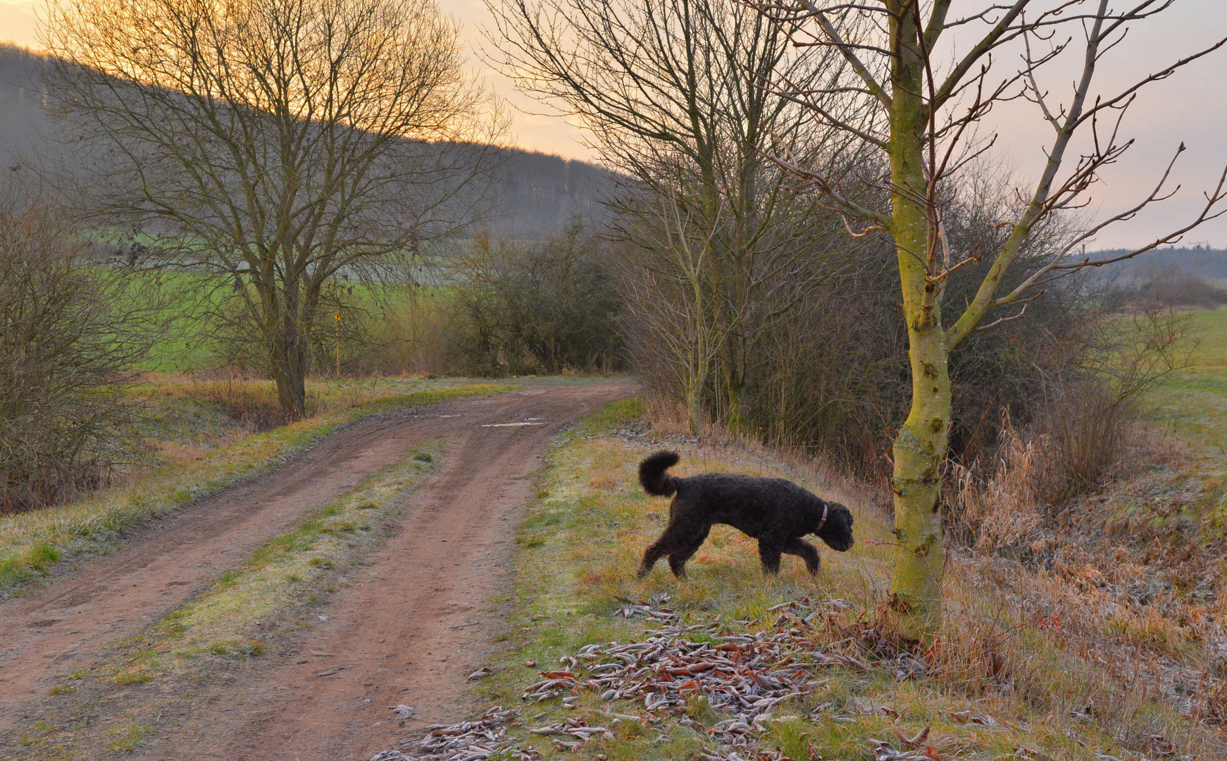 Morgenspaziergang (paseo de la mañana)