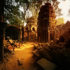 Morgenspaziergang...in den Ruinen von Angkor