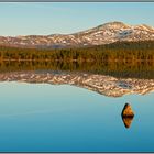 Morgenstemning ved Gutulisjøen