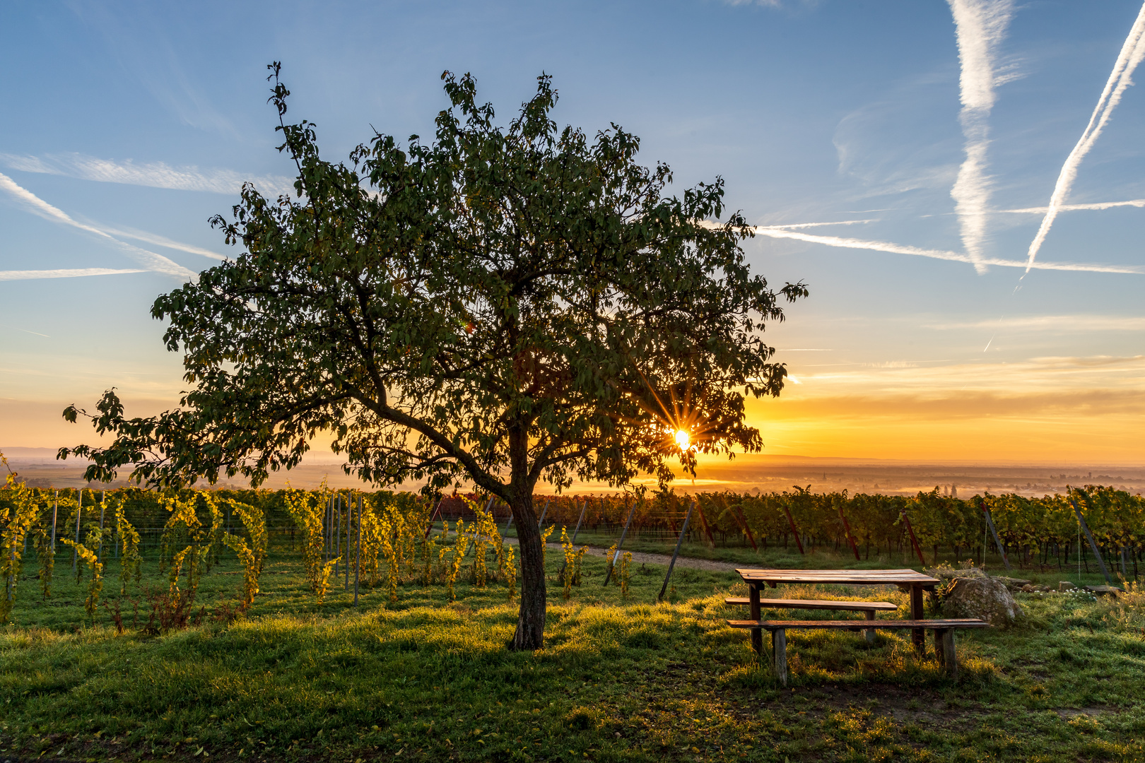 Foto & Bild world, sonnenaufgang, natur Bilder auf