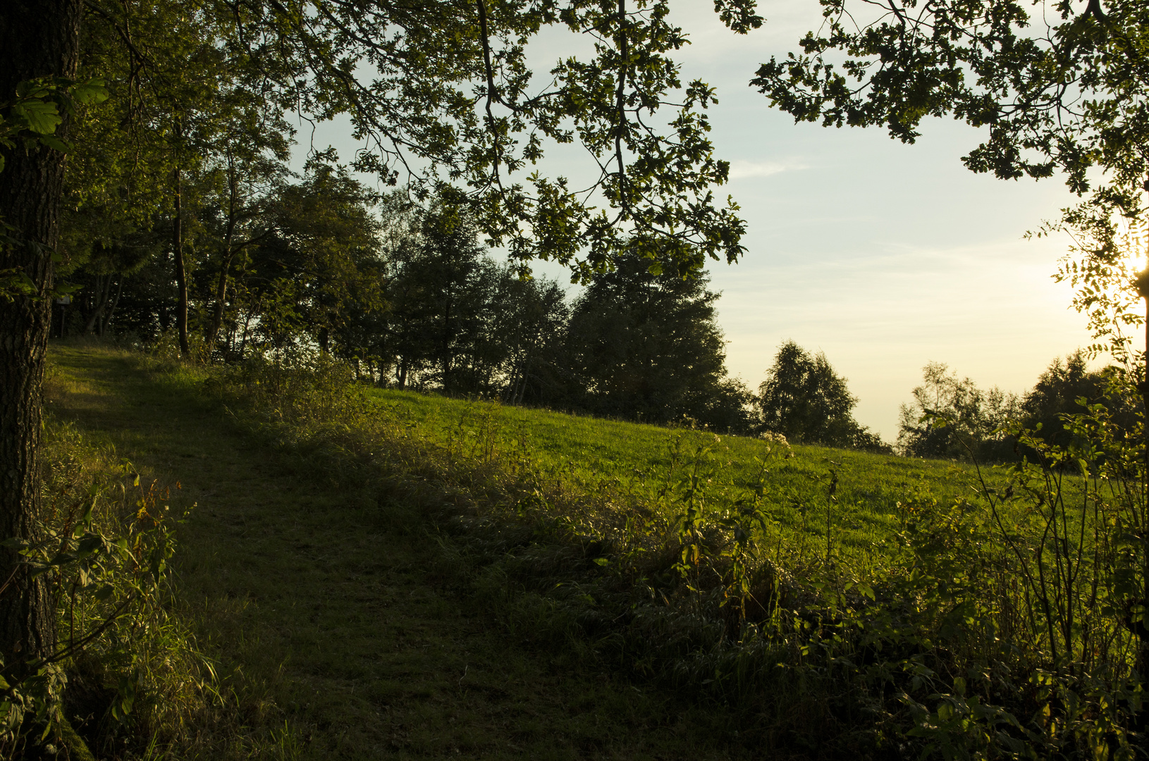 Morgenstern Höhe im Herbst