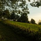 Morgenstern Höhe im Herbst