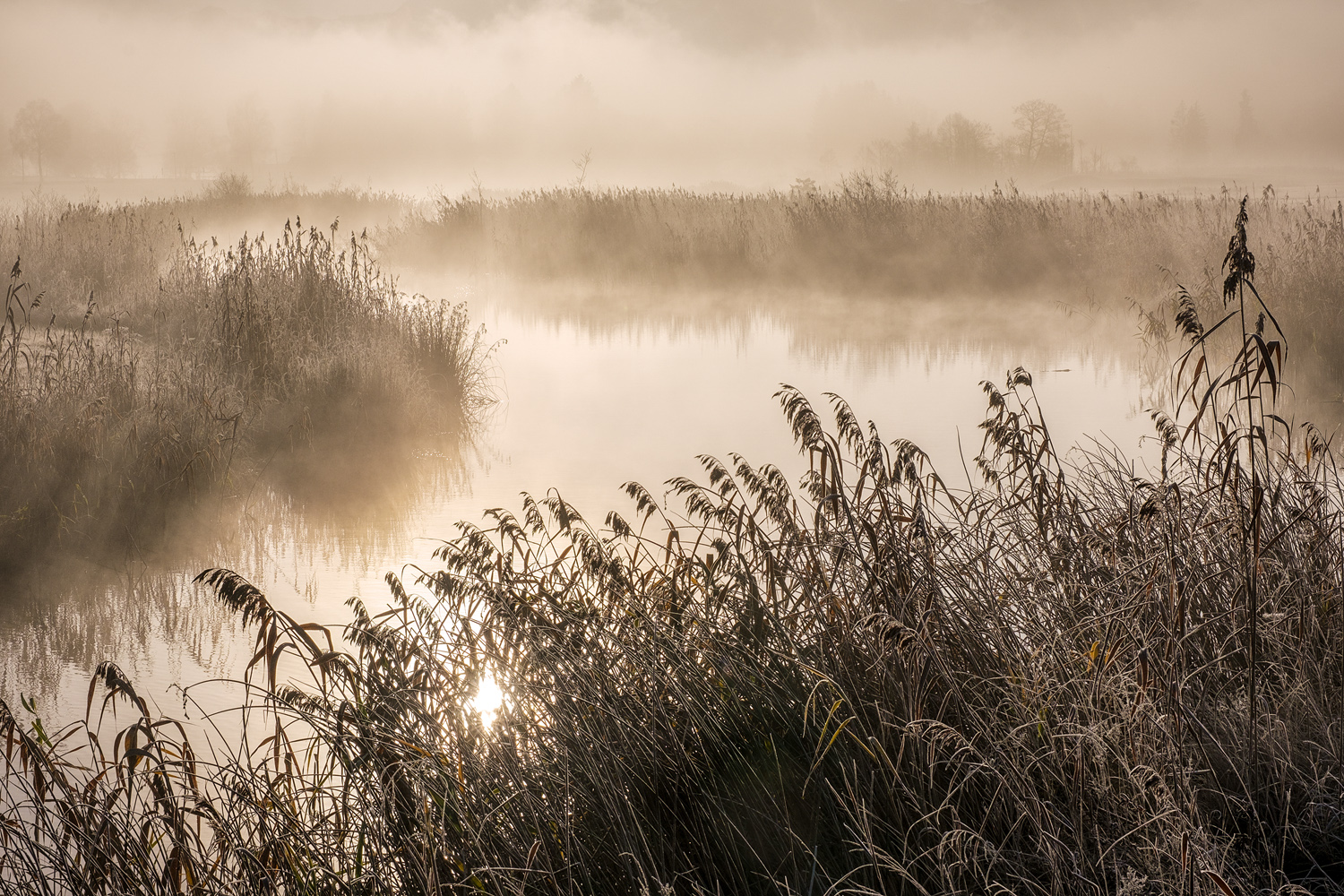 morgenstille