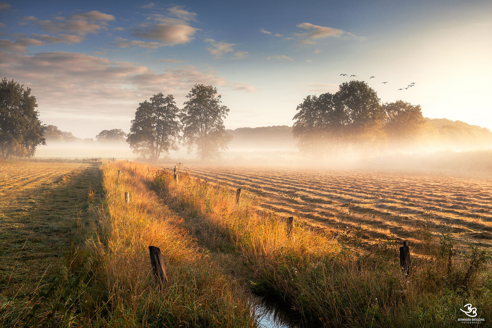 Morgenstille