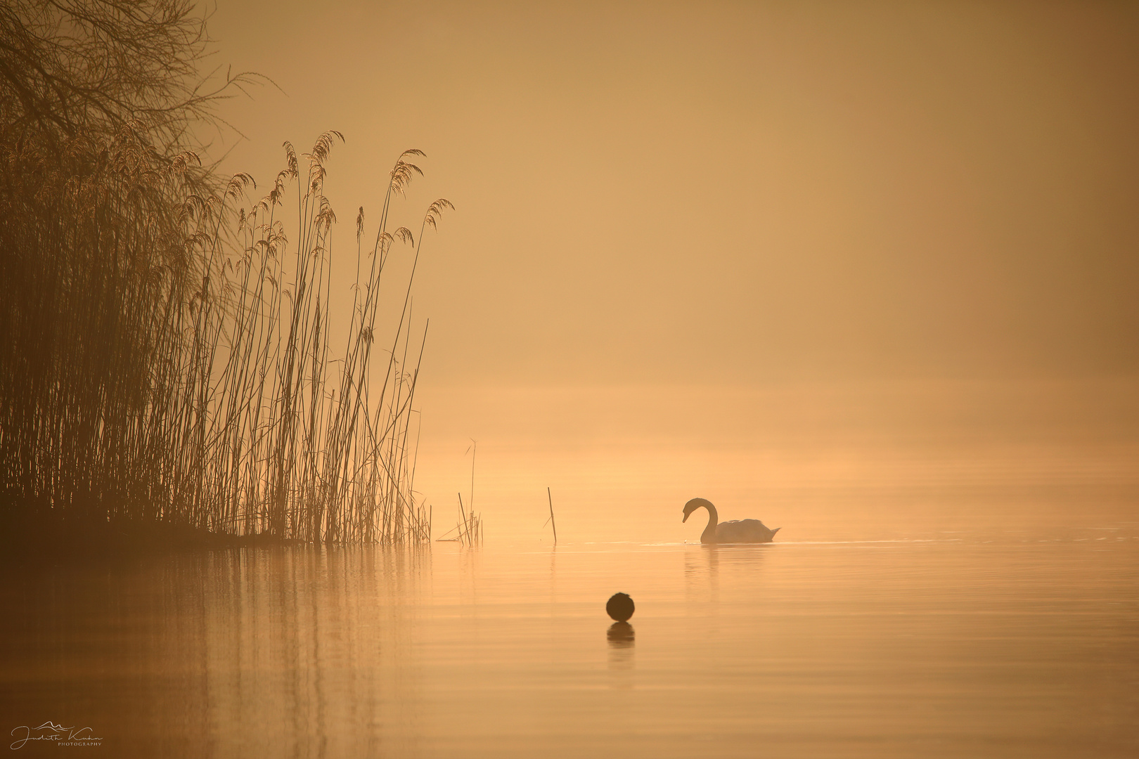 Morgenstille