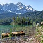 Morgenstille am Eibsee