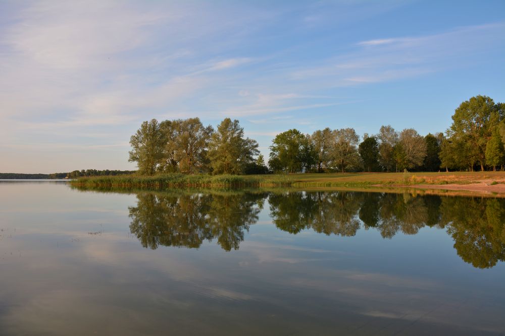 Morgenstille am Lac de Madine