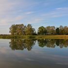 Morgenstille am Lac de Madine