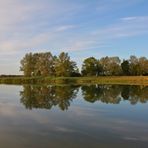 Morgenstille am Lac de Madine