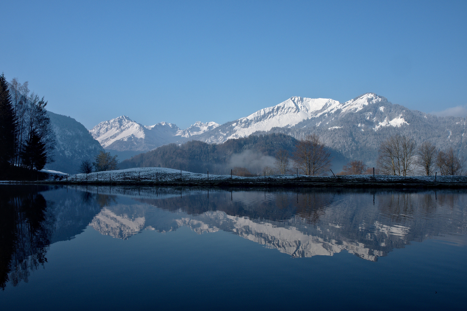 Morgenstille am Moorweiher