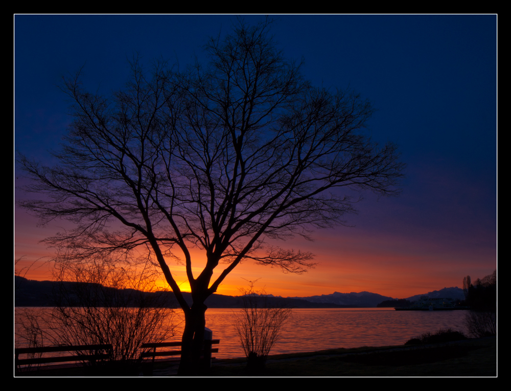 Morgenstille am See