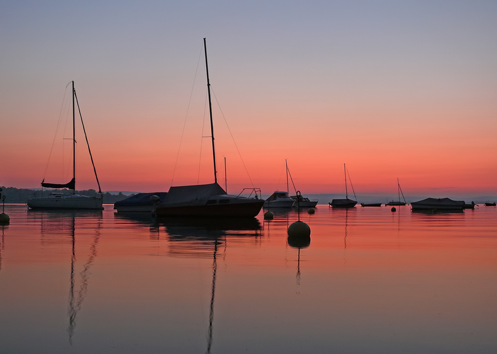 Morgenstille am See