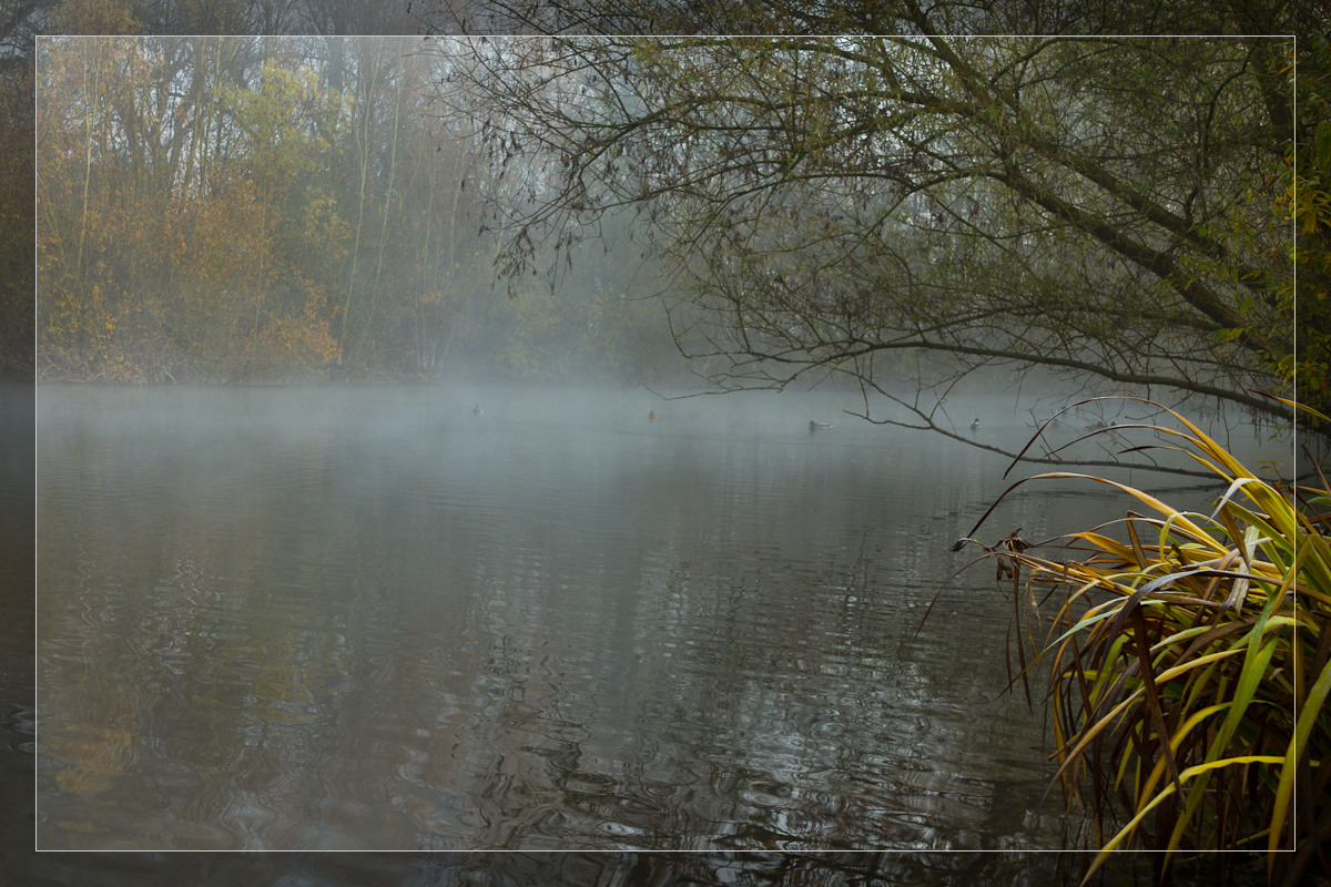 Morgenstille am See