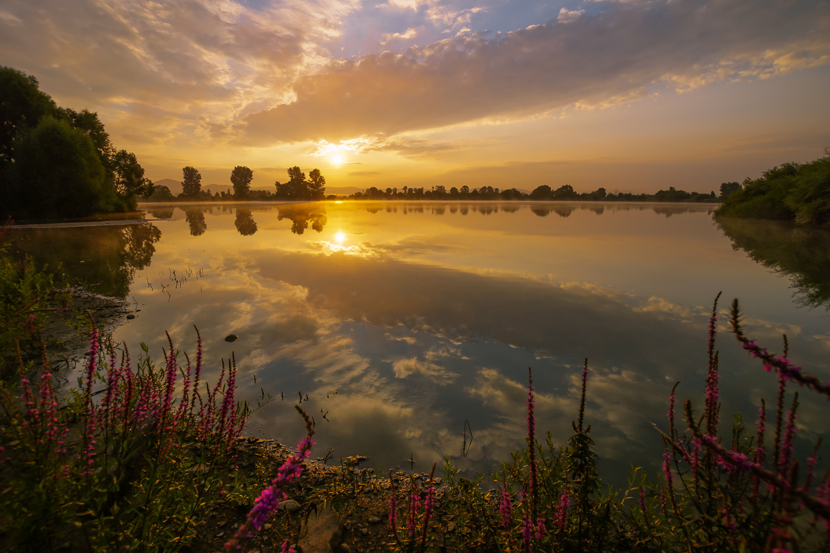 Morgenstille am See