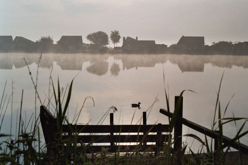 Morgenstille am See