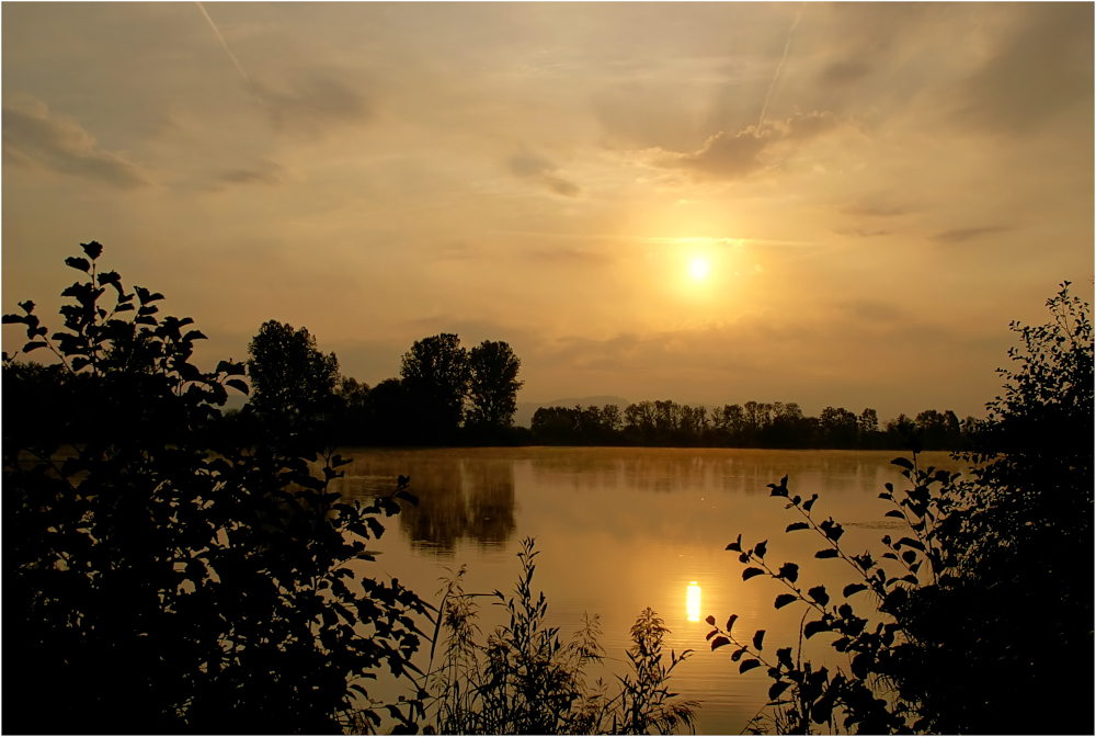 Morgenstille am See