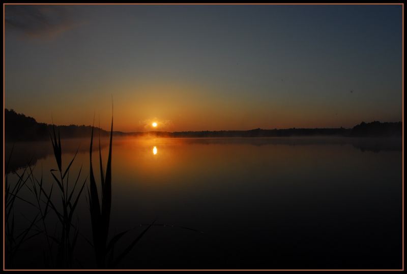 Morgenstille am See