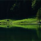 Morgenstille am Seealpsee